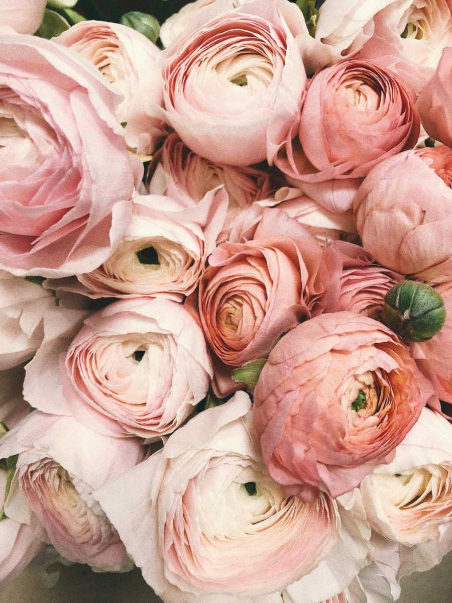 Beautiful flowers in Indonesia